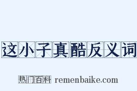 这小子真酷反义词是什么意思的图片